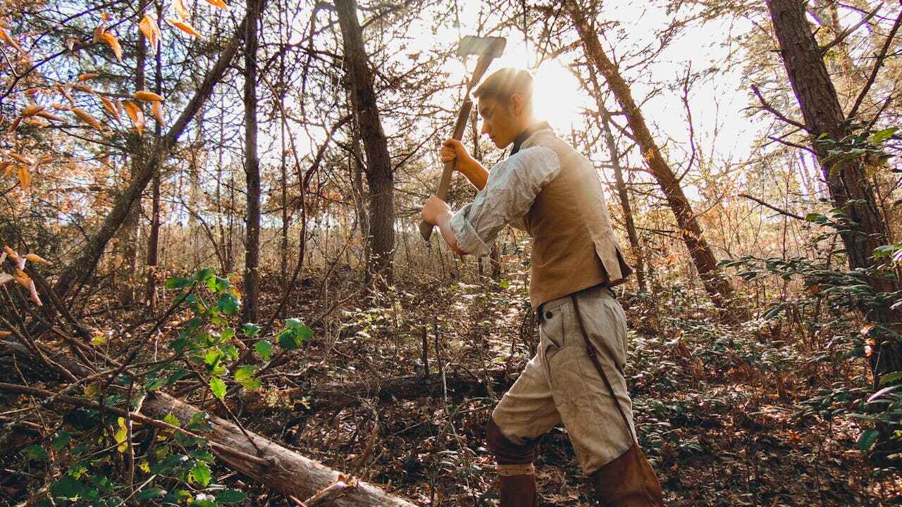 Best Tree Trimming Near Me  in Dunlap, IL